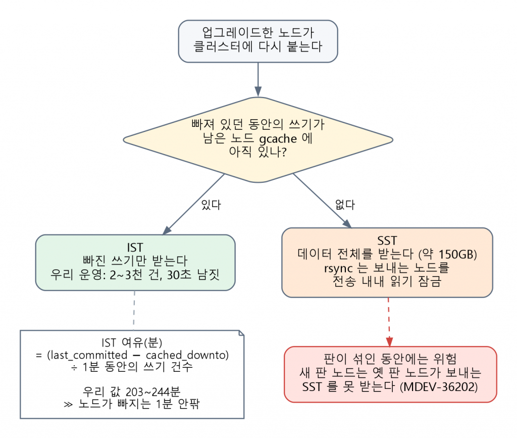 업그레이드한 노드가 다시 붙을 때 — IST 와 SST